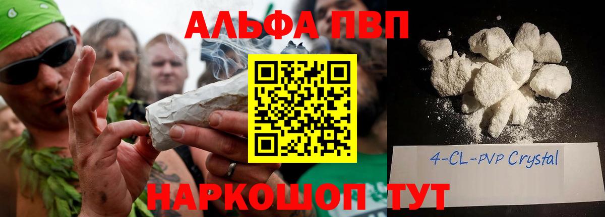 APVP СК Елабуга