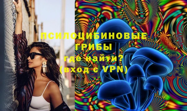 прущий лед Горно-Алтайск