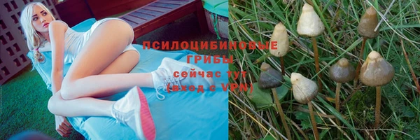 МДПВ Медвежьегорск