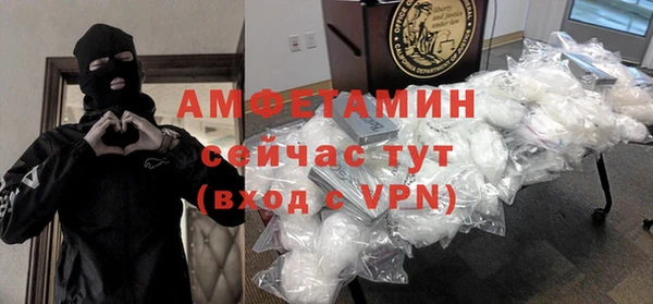 крисы Мегион