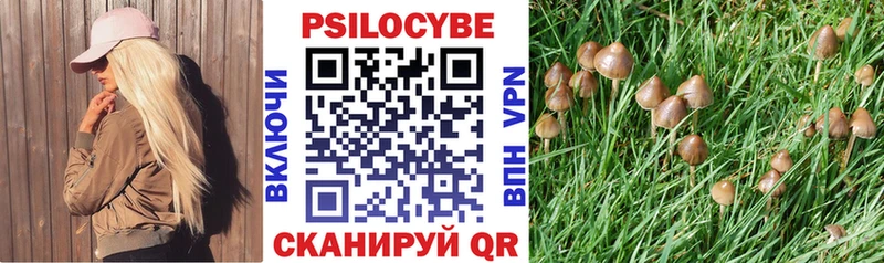 Галлюциногенные грибы ЛСД  Елабуга 