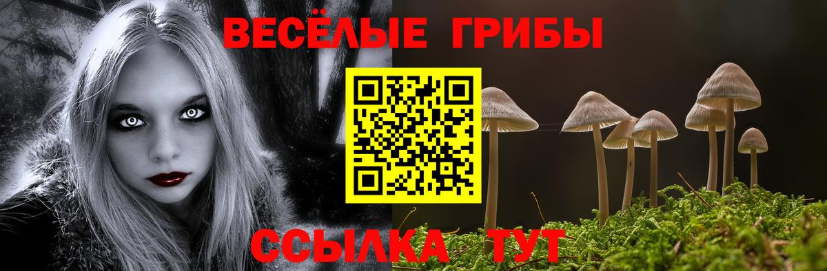 Галлюциногенные грибы ЛСД  Вход с VPN  купить закладку  Галлюциногенные грибы мицелий  Елабуга 