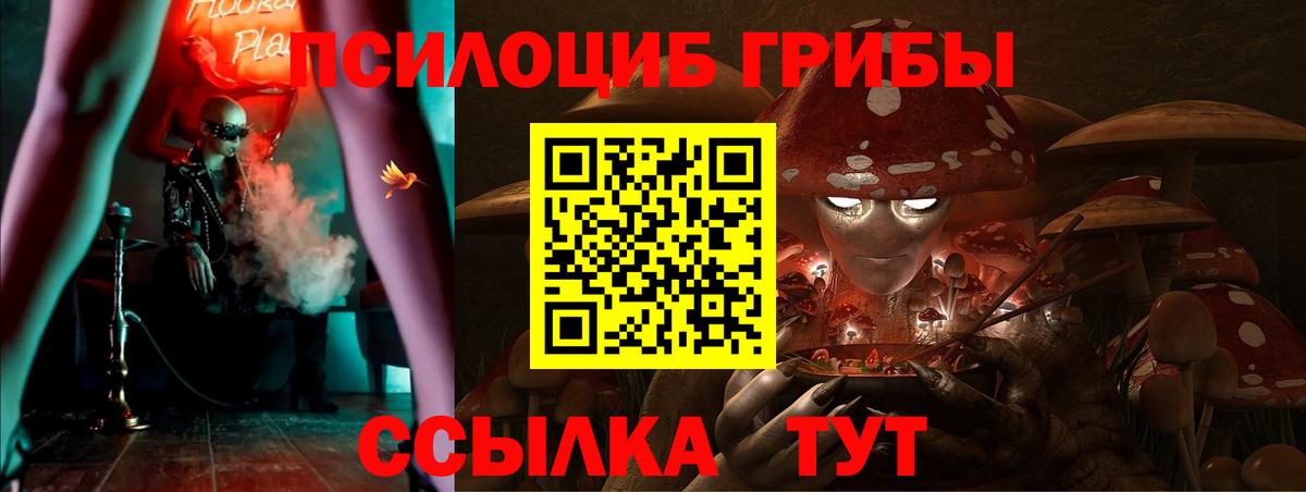 Галлюциногенные грибы прущие грибы  Елабуга 